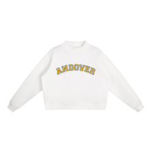 Load image into Gallery viewer, Andover Mockneck Sweatshirt | Oversized Cropped Varsity Pullover, Navy & Gold