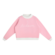 Load image into Gallery viewer, Andover Colorblock Mockneck