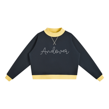 Load image into Gallery viewer, Andover Colorblock Mockneck