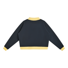 Load image into Gallery viewer, Andover Colorblock Mockneck
